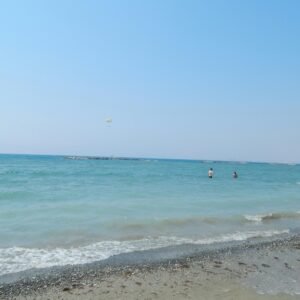 Too Faced Better Than Sex Mascara