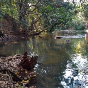 Palmolive Naturals Sabonete Cremoso