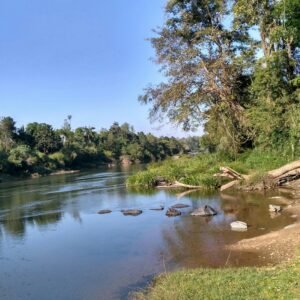 Escova de Cabelo Detangling