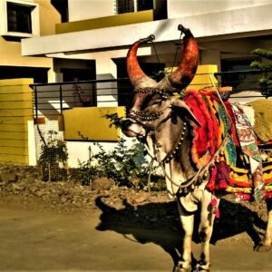 Lixa de Unhas Profissional